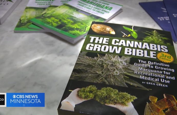 Cbsnews.com: Poptávka po vzdělávacích kurzech o konopí v Minnesotě po legalizaci roste (Video)