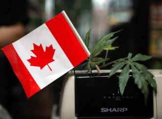 Stratcann.com: U příležitosti pátého výročí legalizace Cannabis Council of Canada vyzývá k regulačním změnám