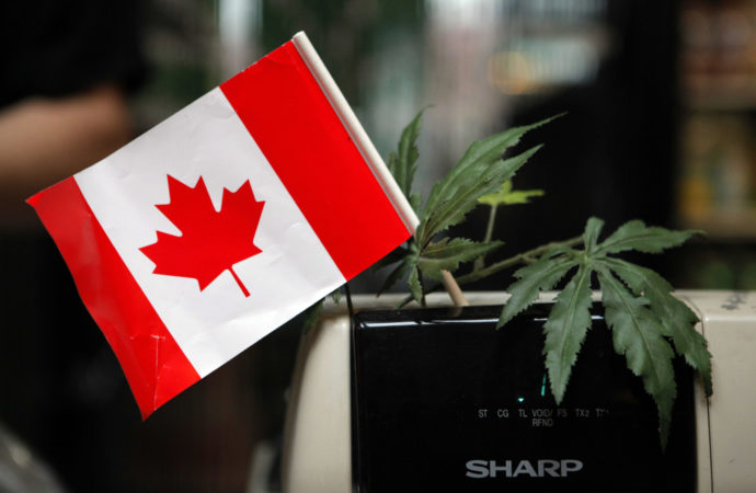 Stratcann.com: U příležitosti pátého výročí legalizace Cannabis Council of Canada vyzývá k regulačním změnám