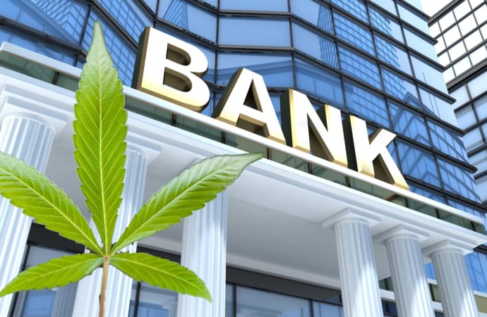 Cannabishealthnews.co.uk: Konopný průmysl v UK spouští průzkum „debankingu“