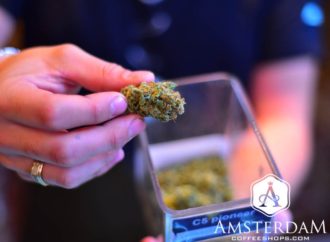Cnn.iprima.cz: Nizozemsko dalo zelenou marihuaně. Ve dvou městech zlegalizovali její výrobu a prodej