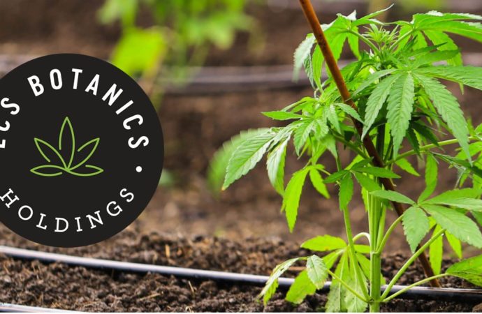 Mjbizdaily.com: Australská cannabis firma ECS Botanics zajistila odběr marihuany ve výši 24 milionů AU$