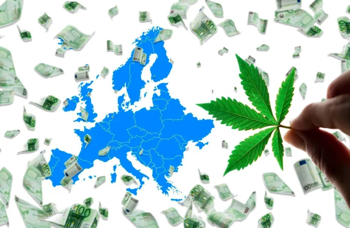 Britishcannabis.org: Vítr změn podporuje v Portugalsku, Belgii a Nizozemsku reformu konopí