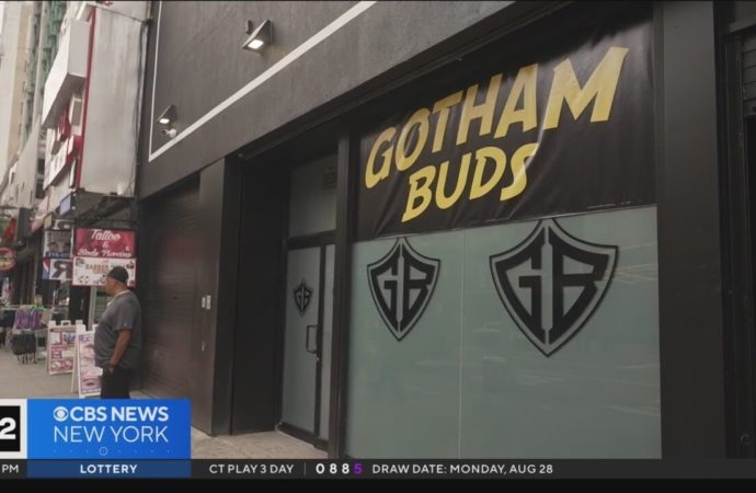 USA – V NY Harlemu se otevírá první legální prodejna marihuany – GOTHAM BUDS (Video)