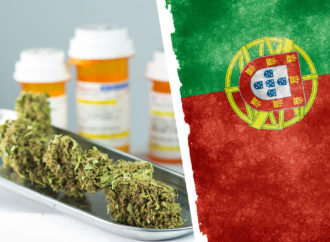 Theportugalnews.com: V Portugalsku prudce stoupá vývoz konopí