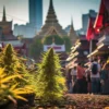 Internationalcbc.com: Schválení zákazu thajského konopí ze strany vlády se očekává koncem tohoto měsíce!