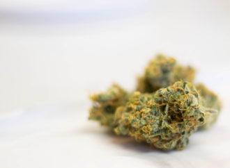 Benzigna.com: Zákaz THC v Marylandu zrušen