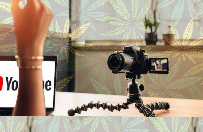 Marijuanamarketingxperts.com: Nejlepší Cannabis YOUTUBE účty – pohled zpět 2022 (Video)