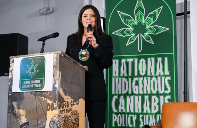 National Indigenous (American Indians) Cannabis Industry Association odhaluje svou první správní radu