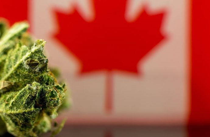Cbc.ca: Kanada – Cannabis průmysl žádá uvolnění pravidel pro společné reklamy a propagaci v obchodech