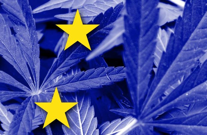 Internationalcbc.com: Přehled snah o modernizaci Cannabis politiky v Evropě