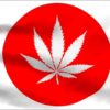 V Japonsku narůstá množství trestních činů spojených s Cannabis, loni zaznamenal rekordní nárůst