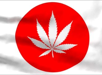 V Japonsku narůstá množství trestních činů spojených s Cannabis, loni zaznamenal rekordní nárůst