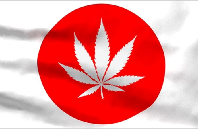 V Japonsku narůstá množství trestních činů spojených s Cannabis, loni zaznamenal rekordní nárůst