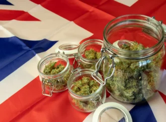 Cannabishealthnews.co.uk: 5 let výročí konopí v UK!