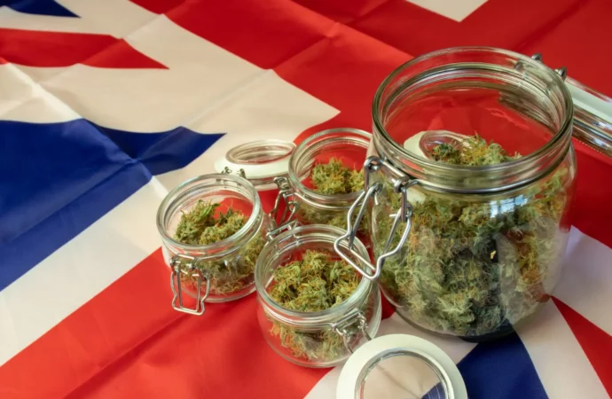 Cannabishealthnews.co.uk: 5 let výročí konopí v UK!