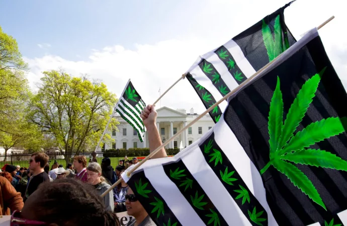 Benzinga.com: Jižní Dakota připravuje druhý pokus o legalizaci konopí pro dospělé