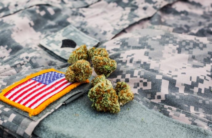 Marijuanamoment.net: Americký senát schválil opatření týkající se konopí pro veterány