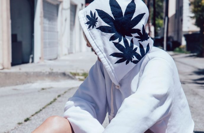 Herb.co: Marihuana a konopí v módě: Jak rostlina utváří průmysl