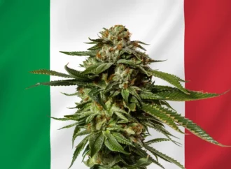 Newsweed.fr: Italský projekt referenda za legalizaci konopí nasbíral za týden 20 000 podpisů