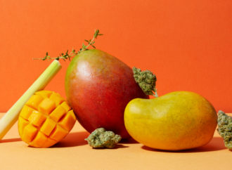 Chuť a energie: Mango jako afrodiziakum, rozmanitost chutí a tajemství zdroje energie