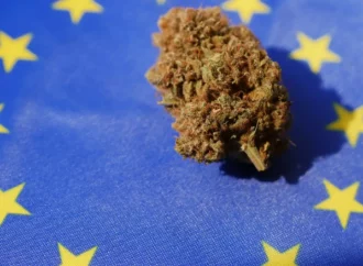 Cannabiswire.com: Zpráva Rady OSN pro narkotika zjistila, že legální produkce konopí „výrazně vzrostla“ 