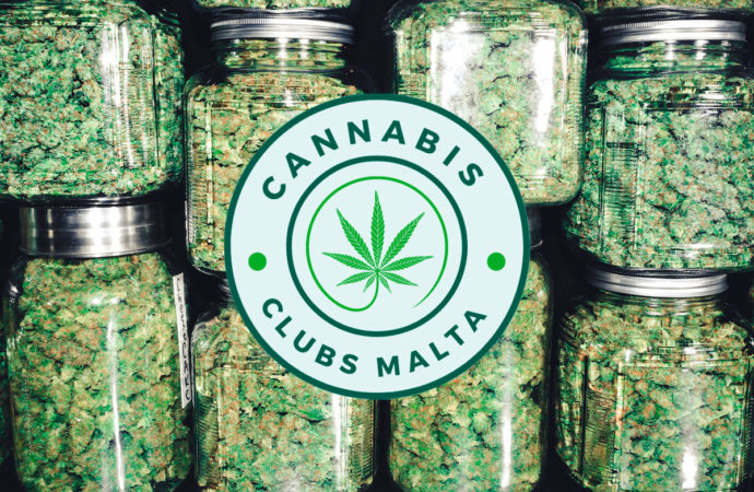 Newsweed.fr: Malta schvaluje 3 nové Cannabis Cluby a pořádá první školení v oblasti „harm reduction“