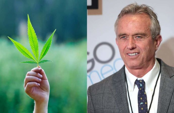 Benzinga.com: Legalizace psychedeliky a volby v roce 2024: Robert F. Kennedy Jr. potvrzuje v novém rozhovoru podporu