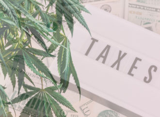 Benzinga.com: USA ztratily 8,5 miliardy dolarů na daních z konopí a to kvůli chybějící federální legalizaci, novému daňovému „plánu“