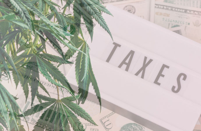 Benzinga.com: USA ztratily 8,5 miliardy dolarů na daních z konopí a to kvůli chybějící federální legalizaci, novému daňovému „plánu“