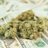 Mjbizdaily.com: Prodej marihuany v Coloradu dosáhl v lednu 115,4 milionu dolarů