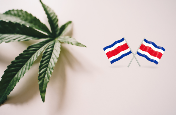 Internationalcbc.com: Legalizační tlak na Kostarice nadále pokračuje!