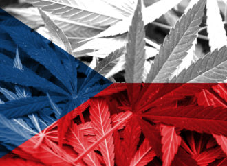 Echo24.cz: Vláda brzdí s legalizací marihuany. Povolí pouze pěstování a konopné kluby