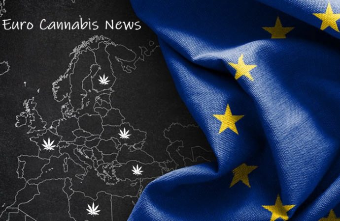 Businessofcannabis.com: Francouzská bitva o léčebné konopí (pohled zpět rok 2023)