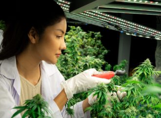 Benzinga.com: Nová éra Cannabis v Pensylvánii: Pěstitelé budou prodávat přímo pacientům, výdejny budou pěstovat vlastní trávu