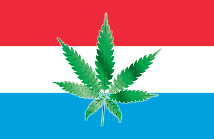 Newsweed.fr: Nová lucemburská vláda nebude Cannabis zcela legalizovat