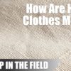 Konopná vláknina | Ekologická, textilní velmoc (Video)
