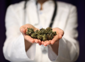Internationalcbc.com: Německý komisař navštívil Nizozemsko, aby se dozvěděl více o průzkumech a studiích o Cannabis