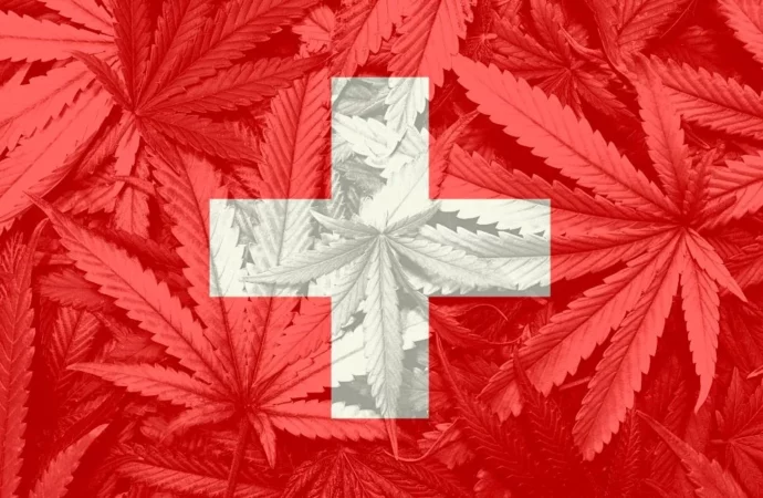 Internationalcbc.com: Většina dotázaných švýcarských psychiatrů regulaci Cannabis podporuje!