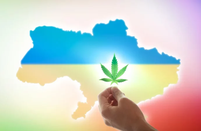 Businessofcannabis.com: Ukrajina učinila „historické rozhodnutí“ legalizovat léčebné konopí