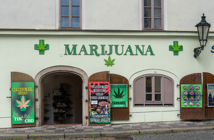 Newsweed.fr: Česká republika omezuje ambice legalizace konopí