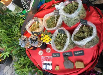 Newsweed.fr: Dánské úřady uzavřou „Pusher Street“ v Christiánii, známé místo prodeje marihuany
