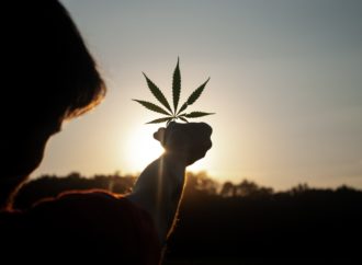 Benzigna.com: Studenti s vynikajícími výsledky preferují vysoké školy ve státech kde je Cannabis legální