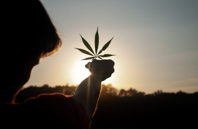 Benzigna.com: Studenti s vynikajícími výsledky preferují vysoké školy ve státech kde je Cannabis legální