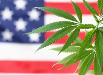 Cannabisbusinesstimes.com: 5 snah o reformu politiky konopí, které je v roce 2024 třeba sledovat
