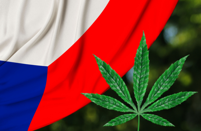 Regionbrno.cz: Legalizace konopí: 2 miliardy pro stát a domácí pěstování