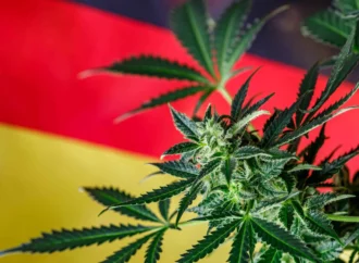 Bude Německo tento týden hlasovat o legalizaci konopí? Klíčové výbory Bundestagu, které rozhodnou