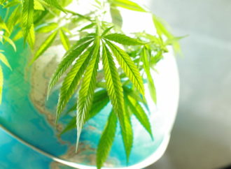 Internationalcbc.com: Nejlepší globální Cannabis kroky roku 2023