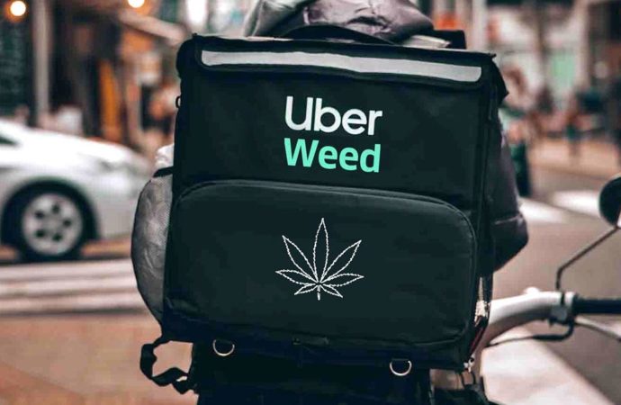 Benzigna.com: Vliv korporací v reformě týkající se Cannabis: Uber se připojuje k lobbistům za marihuanu, jako jsou Amazon a Amex