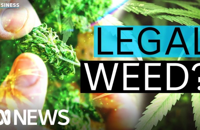 Medical Cannabis v Austrálii